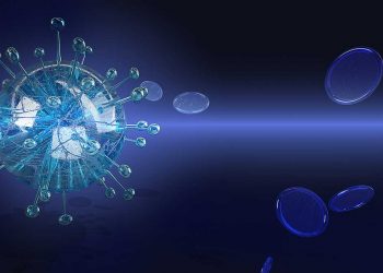 Saygıdeğer Kamuoyunun Dikkatine